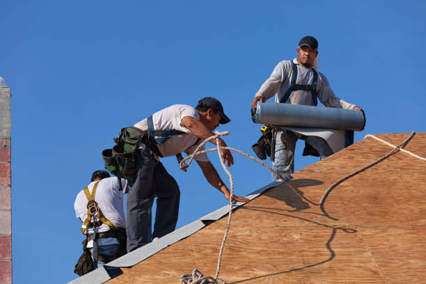 Best Roof Gutter Cleaning  in Ke Providence, LA